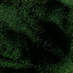 Satellite imagery of Holston Mountain, US