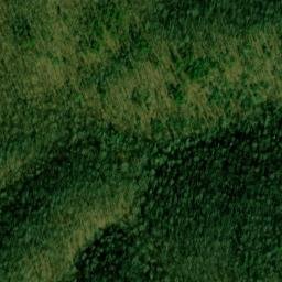 Satellite imagery of Buck Ridge, US