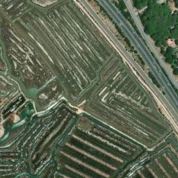 Satellite imagery of survey_point, DZ