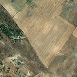 Satellite imagery of survey_point, DZ