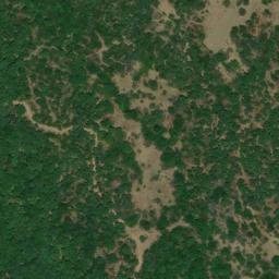 Satellite imagery of survey_point, DZ