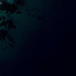 Satellite imagery of survey_point, DZ