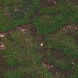 Satellite imagery of survey_point, JP