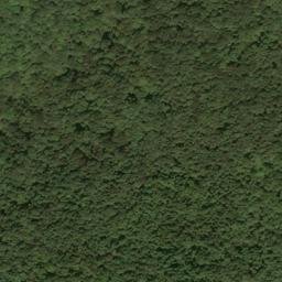 Satellite imagery of Reagan and Gibson Mine, US
