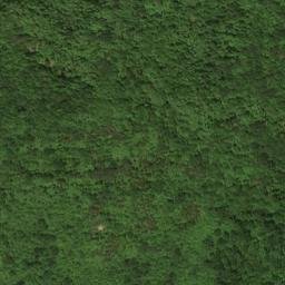 Satellite imagery of Brooks Graham Mine, US