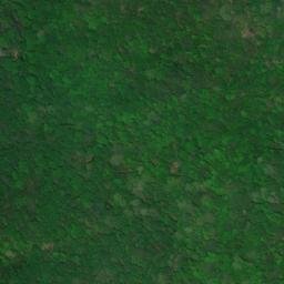 Satellite imagery of Proposal Ridge, US