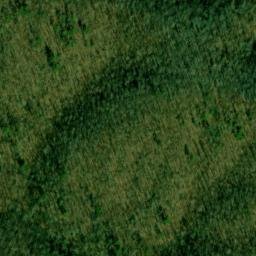 Satellite imagery of Buck Ridge, US