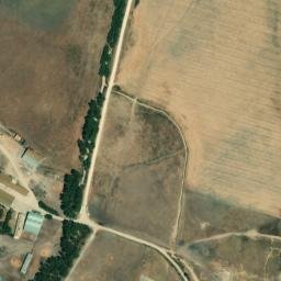 Satellite imagery of survey_point, DZ