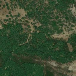 Satellite imagery of survey_point, DZ