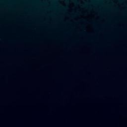 Satellite imagery of survey_point, DZ