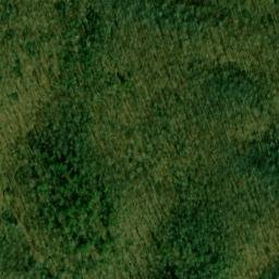 Satellite imagery of Buck Ridge, US