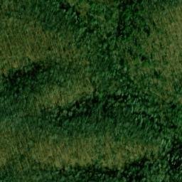 Satellite imagery of Buck Ridge, US