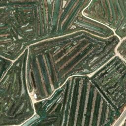 Satellite imagery of survey_point, DZ