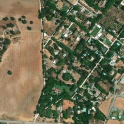 Satellite imagery of survey_point, DZ