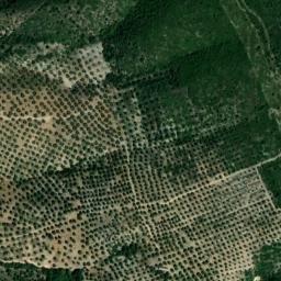 Satellite imagery of survey_point, DZ