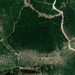 Satellite imagery of survey_point, DZ