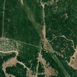 Satellite imagery of survey_point, DZ