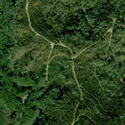 Satellite imagery of Fork Ridge, US