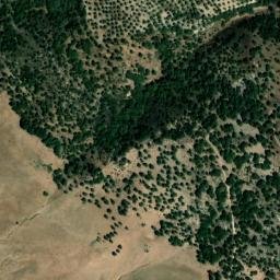 Satellite imagery of survey_point, DZ