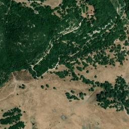 Satellite imagery of survey_point, DZ