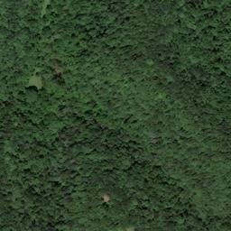 Satellite imagery of Baptist Ridge, US