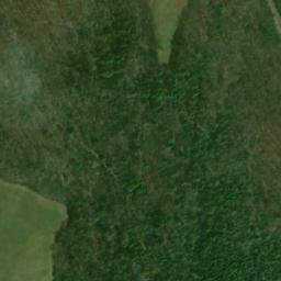 Satellite imagery of Poplar Ridge, US
