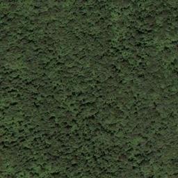 Satellite imagery of McCormick Ridge, US