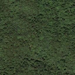Satellite imagery of McCormick Ridge, US