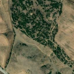 Satellite imagery of survey_point, DZ