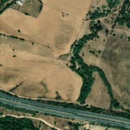 Satellite imagery of survey_point, DZ