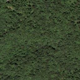 Satellite imagery of McCormick Ridge, US
