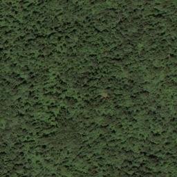 Satellite imagery of McCormick Ridge, US