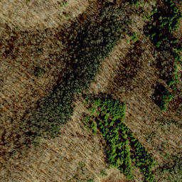 Satellite imagery of Huckleberry Ridge, US