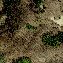 Satellite imagery of Huckleberry Ridge, US