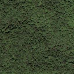 Satellite imagery of McCormick Ridge, US