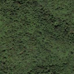 Satellite imagery of McCormick Ridge, US