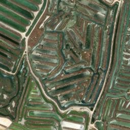 Satellite imagery of survey_point, DZ
