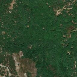 Satellite imagery of survey_point, DZ