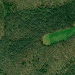 Satellite imagery of Cupp Ridge, US