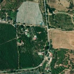 Satellite imagery of survey_point, DZ