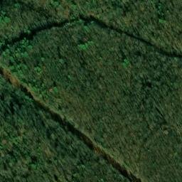 Satellite imagery of Hollow Chestnut Ridge, US