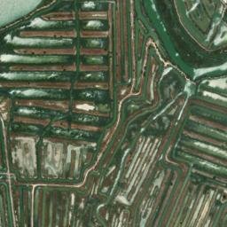 Satellite imagery of survey_point, DZ