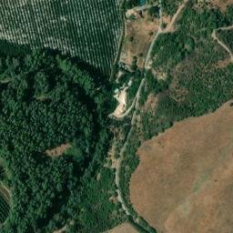 Satellite imagery of survey_point, DZ