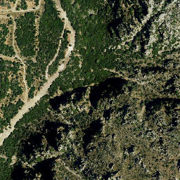 Satellite imagery of survey_point, DZ