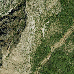 Satellite imagery of survey_point, DZ