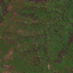 Satellite imagery of survey_point, JP