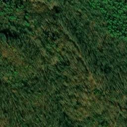 Satellite imagery of Hollow Chestnut Ridge, US