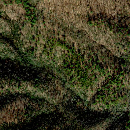 Satellite imagery of Tar Ridge, US