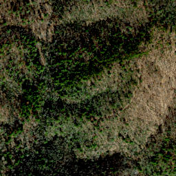 Satellite imagery of Tar Ridge, US