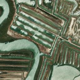 Satellite imagery of survey_point, DZ